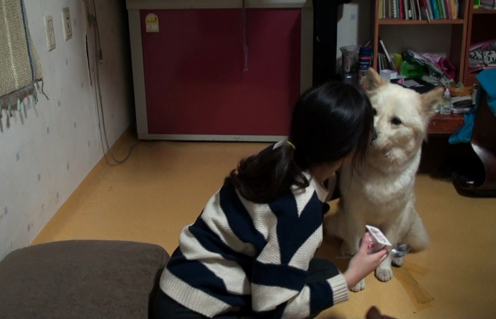 영화포스터