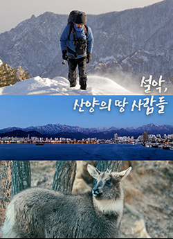 영화포스터